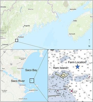 Engineering A Low-Cost Kelp Aquaculture System for Community-Scale Seaweed Farming at Nearshore Exposed Sites via User-Focused Design Process